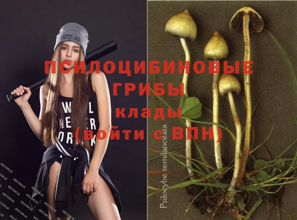 spice Балахна