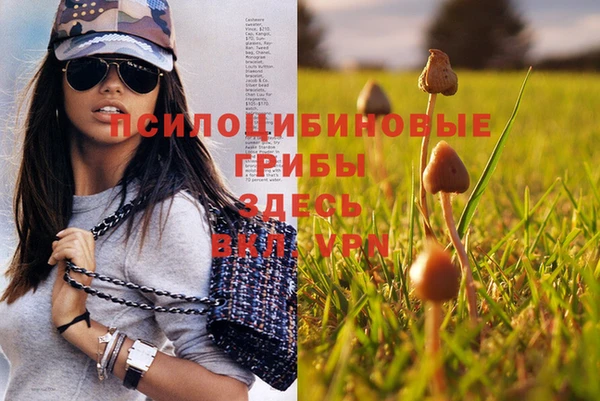 spice Балахна